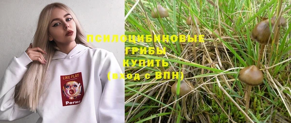 соль ск Михайлов