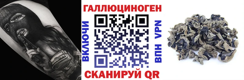 Псилоцибиновые грибы мицелий продажа наркотиков Усть-Катав